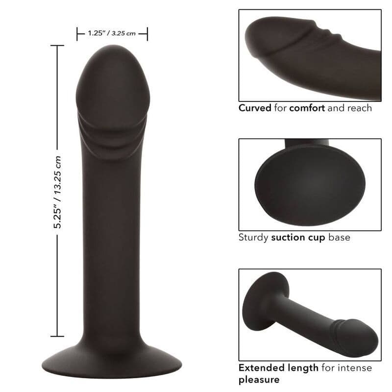 CALEXOTICS - CURVED ANAL STUD 4