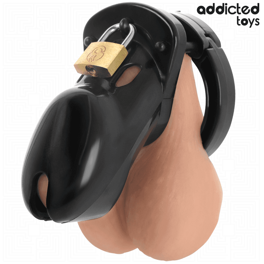 ADDICTED TOYS LOCKED - GABBIA PER PENE FORBIDDEN VAULT 10 CM 3