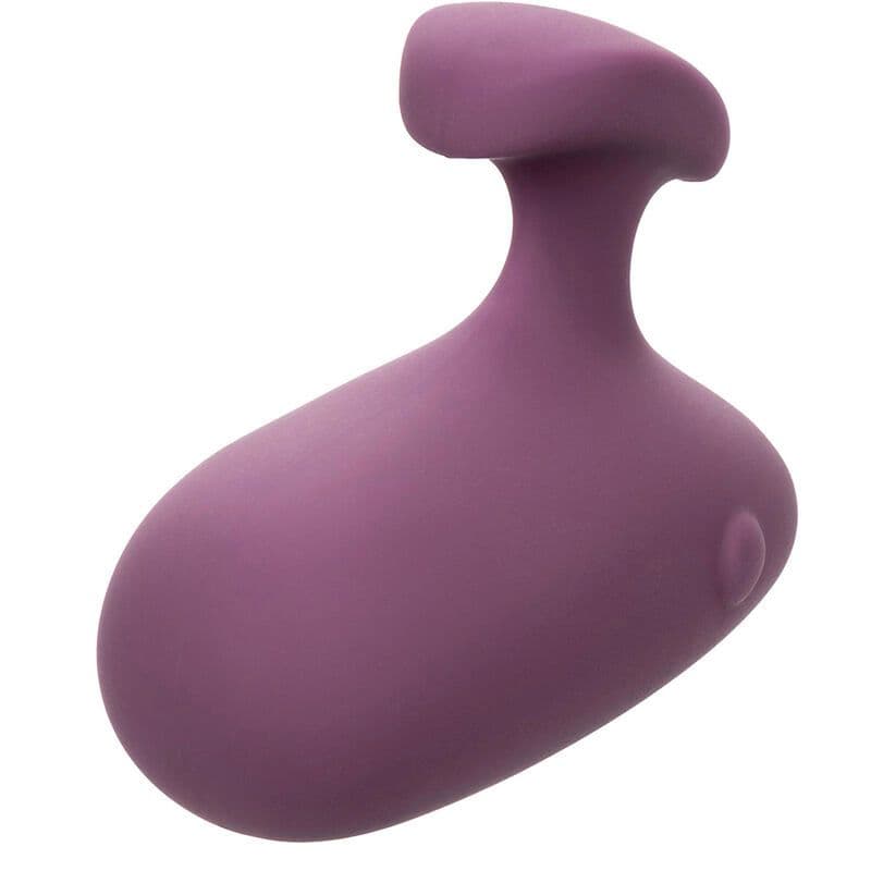 CALEXOTICS - MOD TOUCH ROČNI VIBRATOR-STIMULATOR, VIJOLIČEN 3