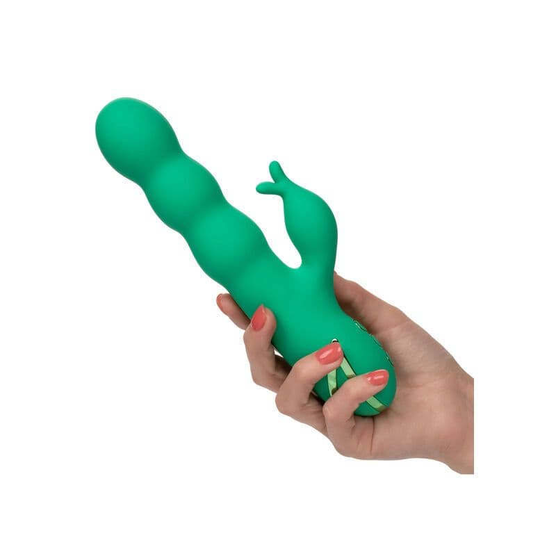 CALEXOTICS - SONOMA SODDISFATTO VERDE 4