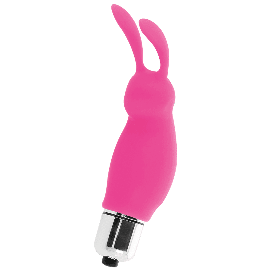 INTENSE - RABBIT ROGER ROSA 2