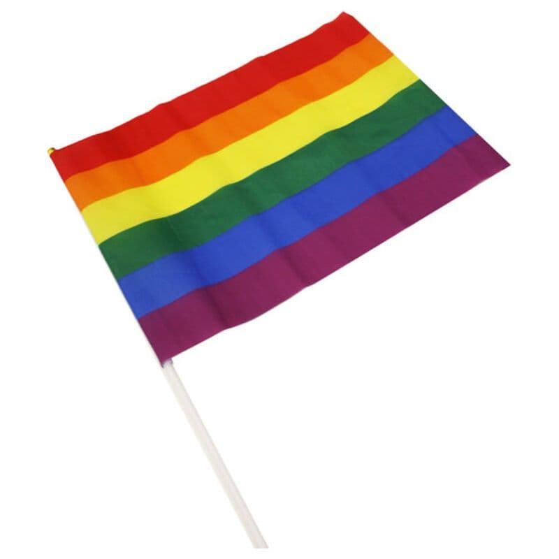 PRIDE - VELIKA ZASTAVICA Z ZASTAVO LGBT