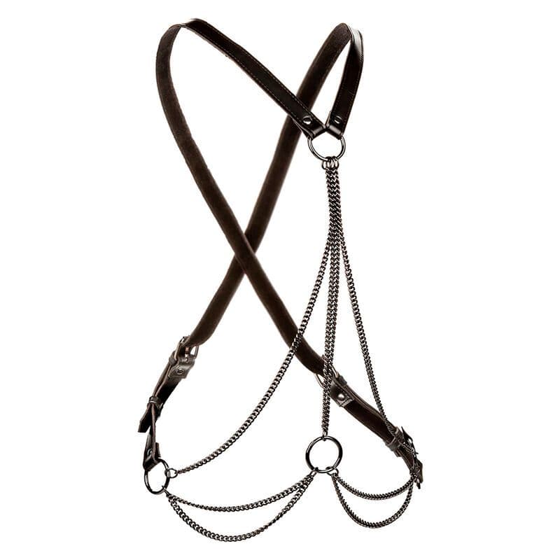 CALEXOTICS - Euphoria Mehrkett-Geschirr Premium